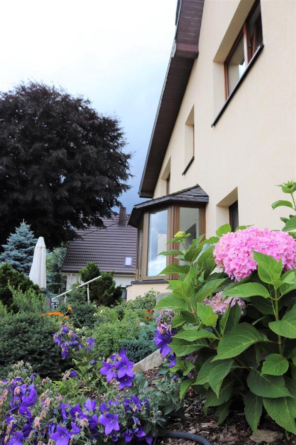 Ferienwohnung Hans Im Glueck Olbernhau Extérieur photo